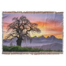 Big Tree Early Morning Throw Blanket