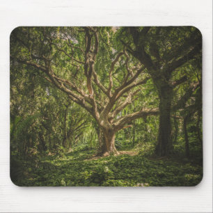 Big Tree Forest Mouse Mat