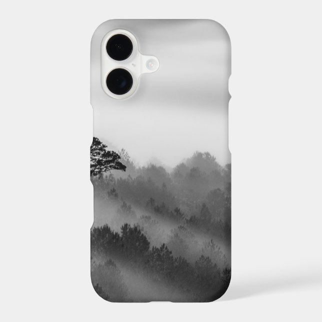 Big Tree in Pine Forest in the Mist (Back)