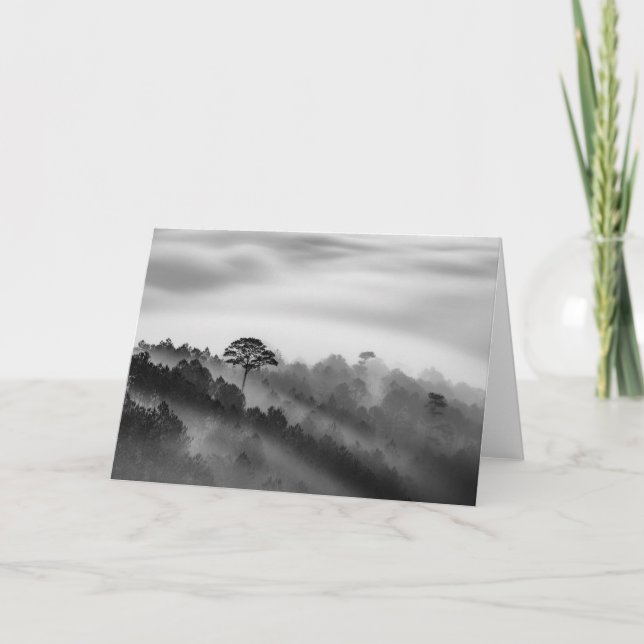 Big Tree in Pine Forest in the Mist Card (Front)