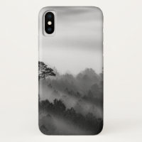 Big Tree in Pine Forest in the Mist