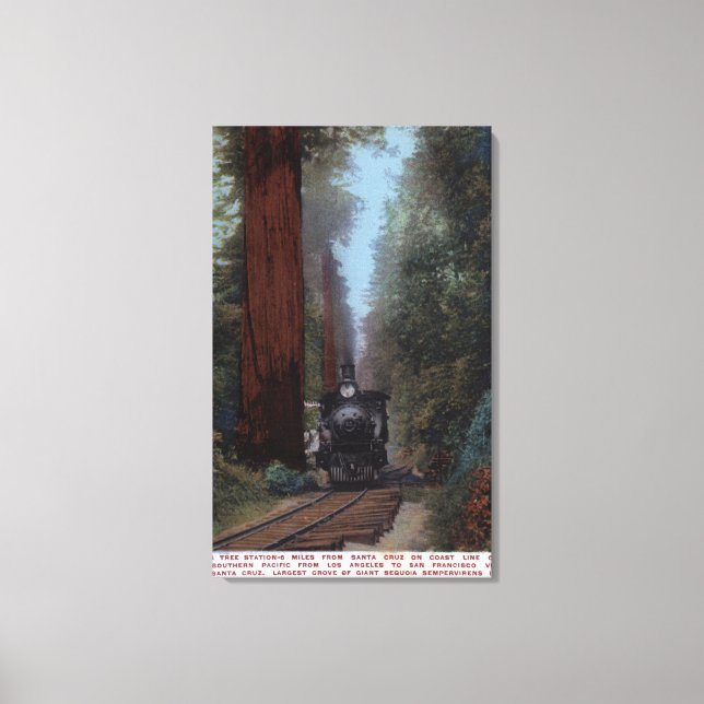 Big Tree Railroad Station Canvas Print (Front)