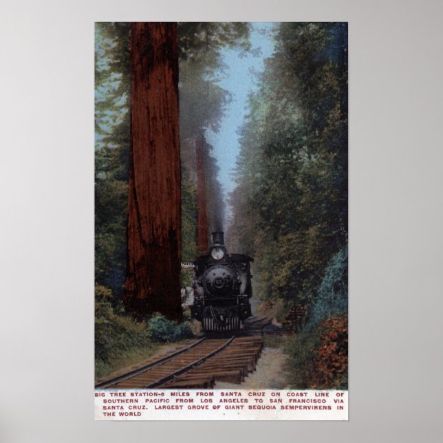 Big Tree Railroad Station Poster (Front)