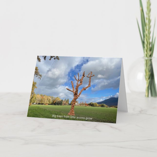 Big trees from little acorns grow. card (Front)