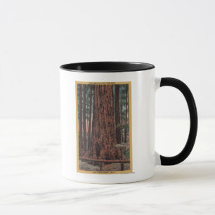 Big Trees State Park, CA - Neck Breaker Tree Mug