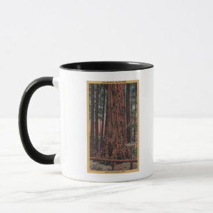Big Trees State Park, CA - Neck Breaker Tree Mug