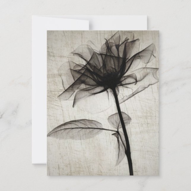 Big Vintage X-Ray Flower Card (Front)