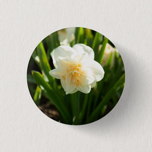 Big white daffodils on a spring day   3 cm round badge (Front)