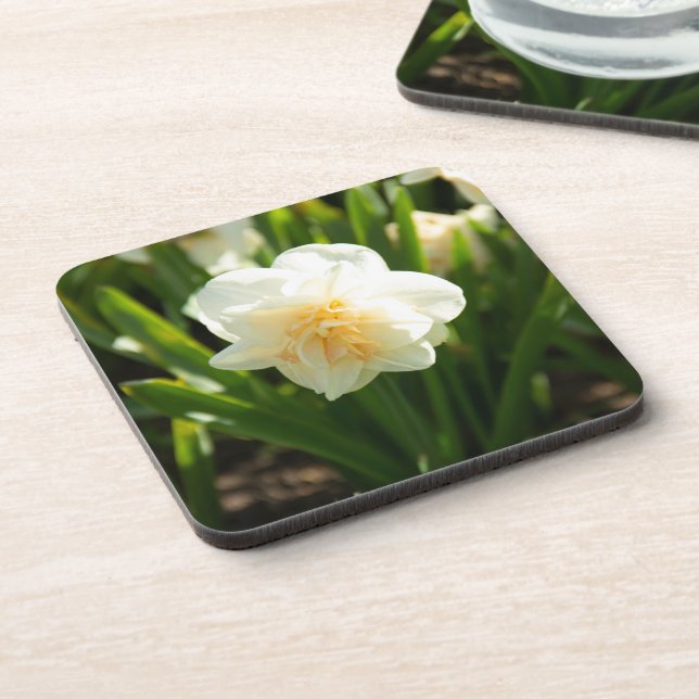 Big white daffodils on a spring day  coaster (Left Side)