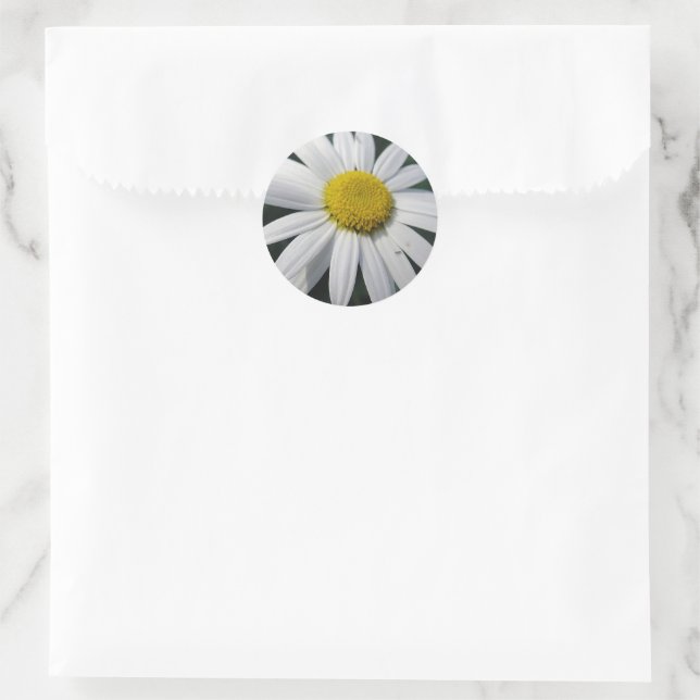 Big White Daisy   Classic Round Sticker (Bag)