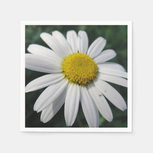 Big White Daisy Napkin