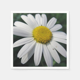 Big White Daisy Napkins