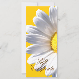Big White Daisy On Yellow Gift Certificate
