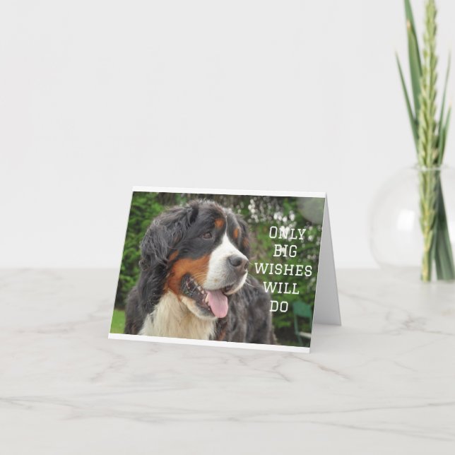 BIG WISHES ON YOUR **21st BIRTHDAY** Card (Front)