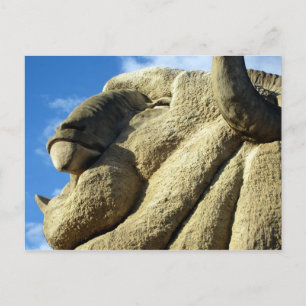 big woollen merino postcard