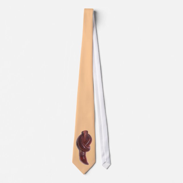 Big Worm Beige Tie (Front)