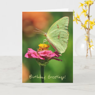 Big Yellow Butterfly on a Flower Birthday Card