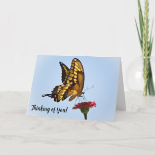 Big Yellow Butterfly Thinking of You Card