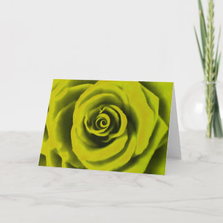 Big Yellow Rose Card