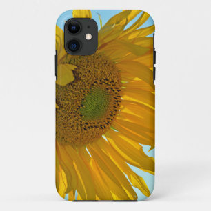 Big yellow sunflower iPhone 11 case