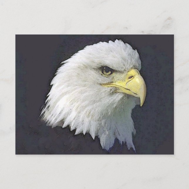 bigbird postcard (Front)