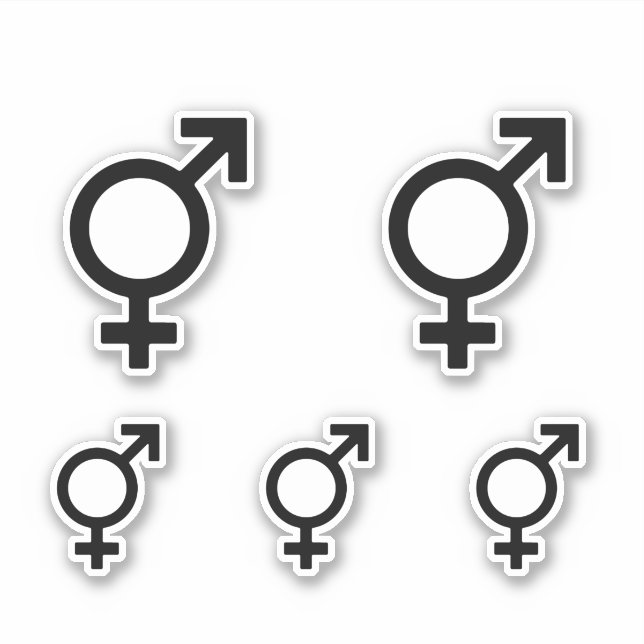 Bigender Gender Symbol (Front)