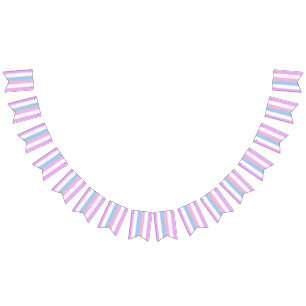 Bigender Pride Flag