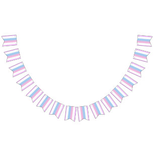 Bigender Pride Flag Bunting Banner LGBT Party