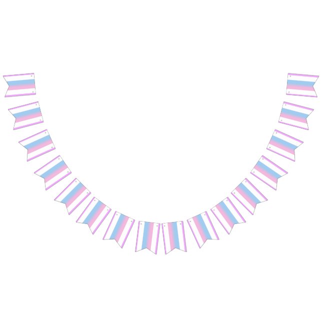 Bigender Pride Flag Bunting Banner LGBT Party (All)