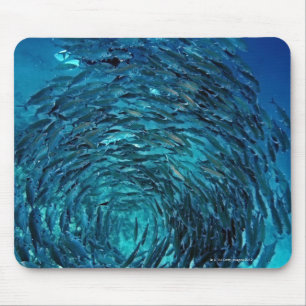 Bigeye trevally (Caranx sexfasciatus), swimming Mouse Mat