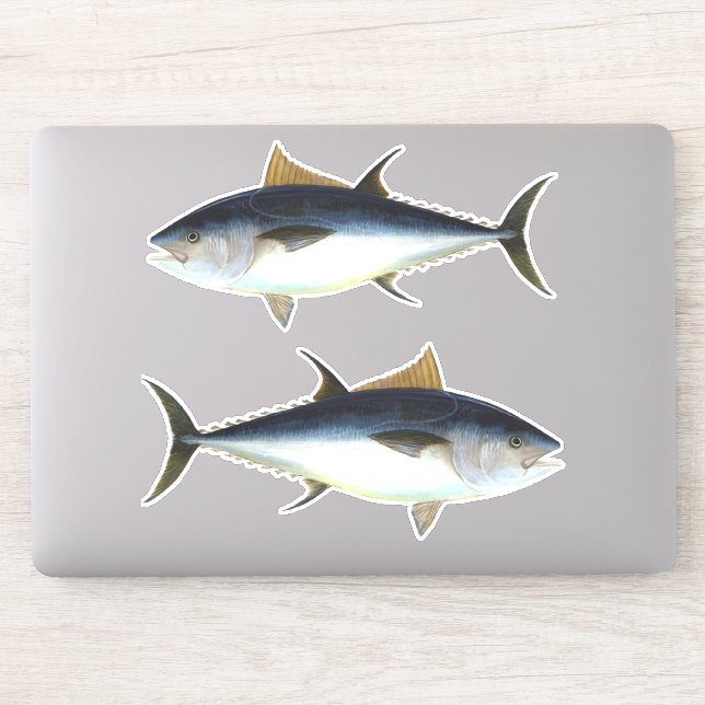 Bigeye Tuna Style Thunder_Cove (Computer)