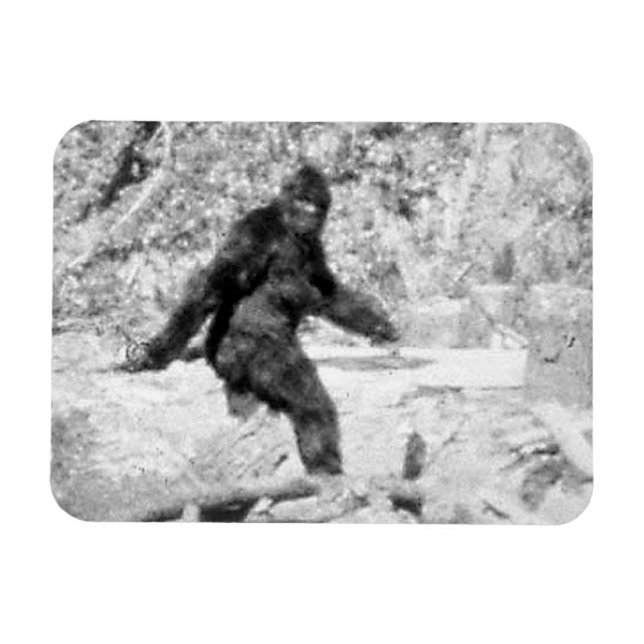 Bigfoot Magnet (Horizontal)