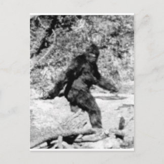 Bigfoot Postcard