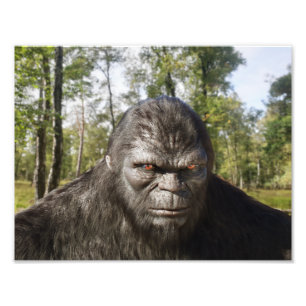 BIGFOOT SASQUATCH PORTRAIT Photo Enlargement