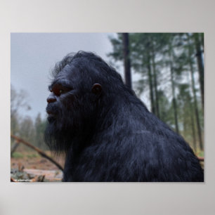 bigfoot sasquatch poster