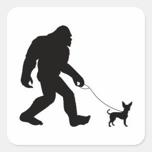 Bigfoot Walking Chihuahua Square Sticker