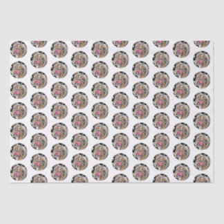 Biggie the Bulldog Circles Animal Gram Tissue Paper