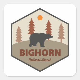 Bighorn National Forest Wyoming Bear Square Sticker