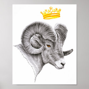 Bighorn Ram with Crown Aries Zodiac Animal art Poster