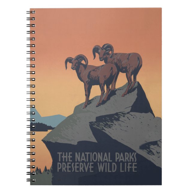 Bighorn Sheep American West Wildlife Notebook (Front)