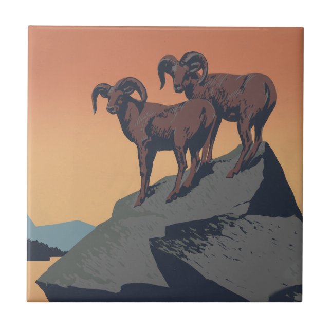 Bighorn Sheep American West Wildlife Tile (Front)