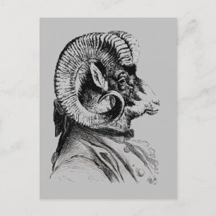 Bighorn Sheep In Suit Postcard