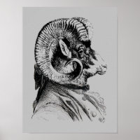 Bighorn Sheep In Suit