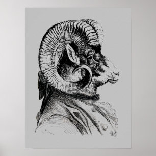 Bighorn Sheep In Suit Poster