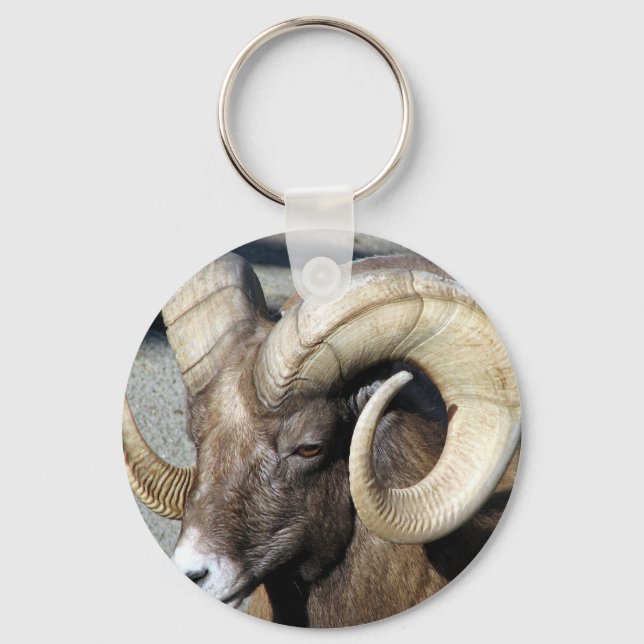 Bighorn Sheep Key Ring (Front)