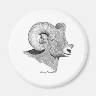 Bighorn Sheep Magnet