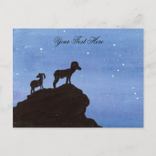 Bighorn Sheep Postcard