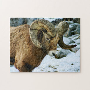 Bighorn Sheep Ram Jigsaw Puzzle