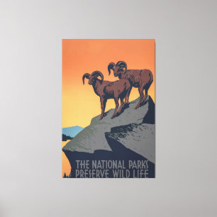 Bighorn Sheep Sunset Poster Canvas Print