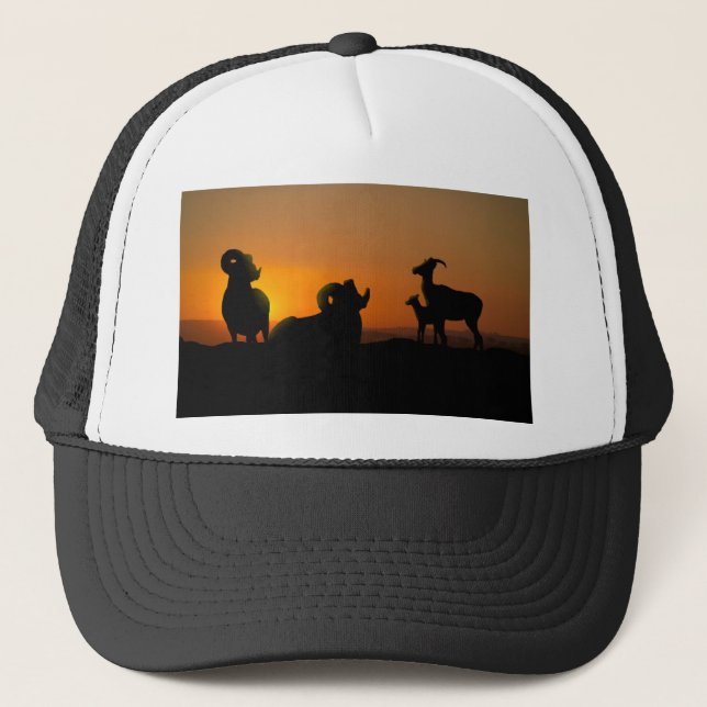 Bighorn Sheep Trucker Hat (Front)